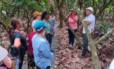 Group of visitors listening to tour guide on cacao farm