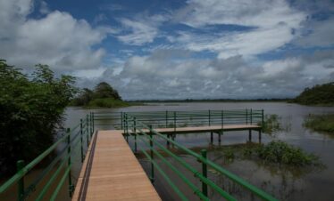 Viewing Platform on Caño Negro river