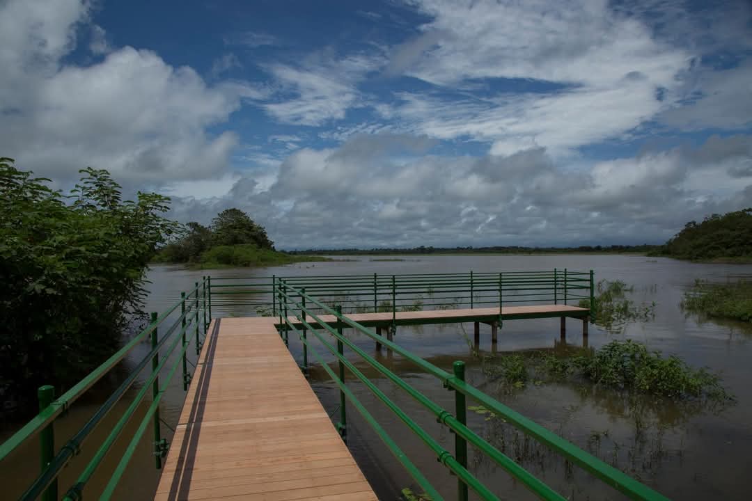 Viewing Platform on Caño Negro river