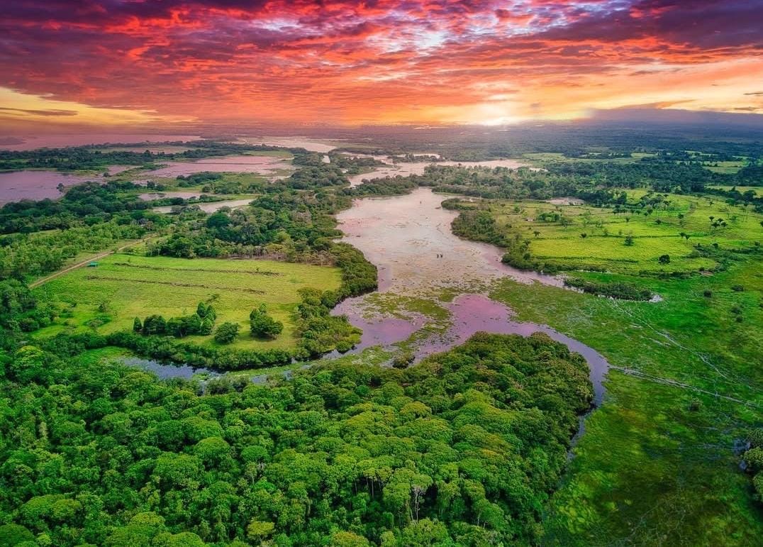 Aerial view of Caño Negro lush green and colorful sunset