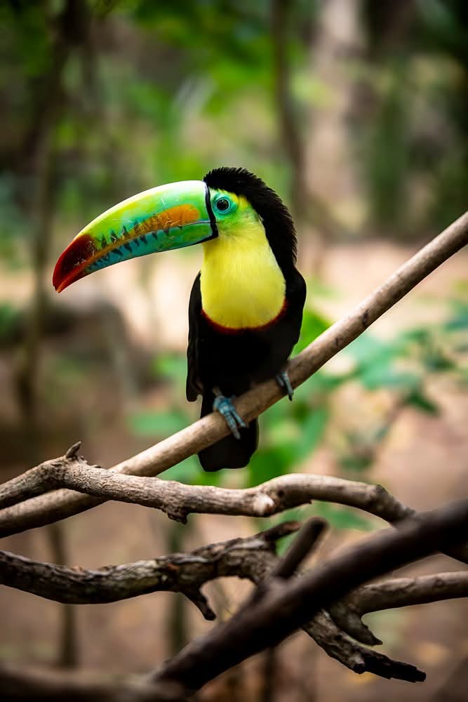 WhatsApp Image 2025-10-27 at 12.31.23 PM (1)