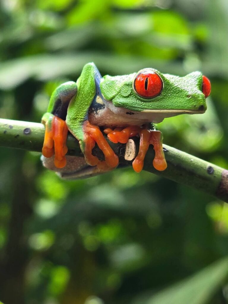 WhatsApp Image 2025-10-27 at 12.31.23 PM (2)