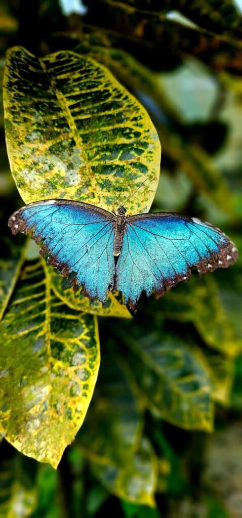 WhatsApp Image 2025-10-27 at 12.31.23 PM