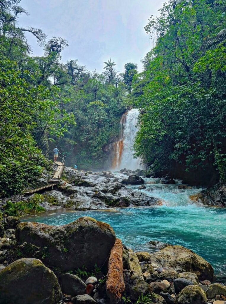 WhatsApp Image 2025-11-30 at 2.40.54 PM (1)