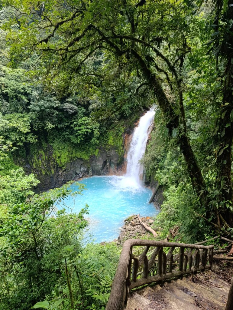 WhatsApp Image 2025-11-30 at 4.15.15 PM (1)